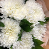 Изображение 5 - Монобукет из белых хризантем - купить в Москве