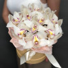 Изображение 7 - Орхидея в коробке - купить в Москве