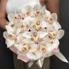 Изображение 8 - Орхидея в коробке - купить в Москве