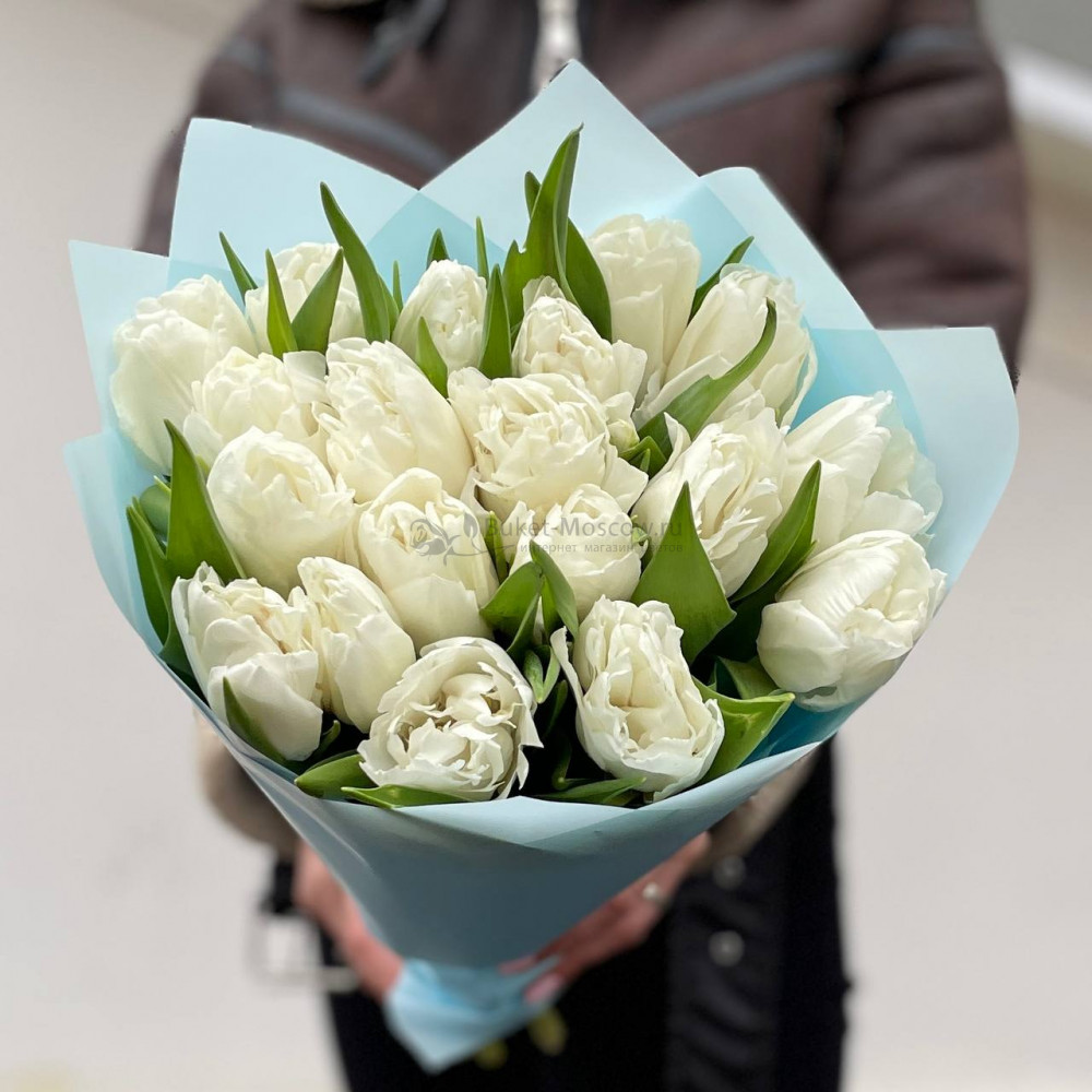 Изображение - Белые пионовидные тюльпаны 19 - купить в Москве