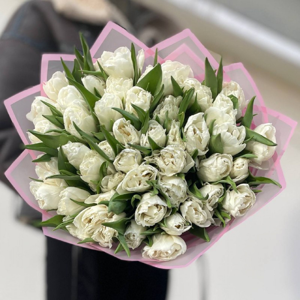 Изображение - Тюльпаны белые пионовидные 51 шт - купить в Москве