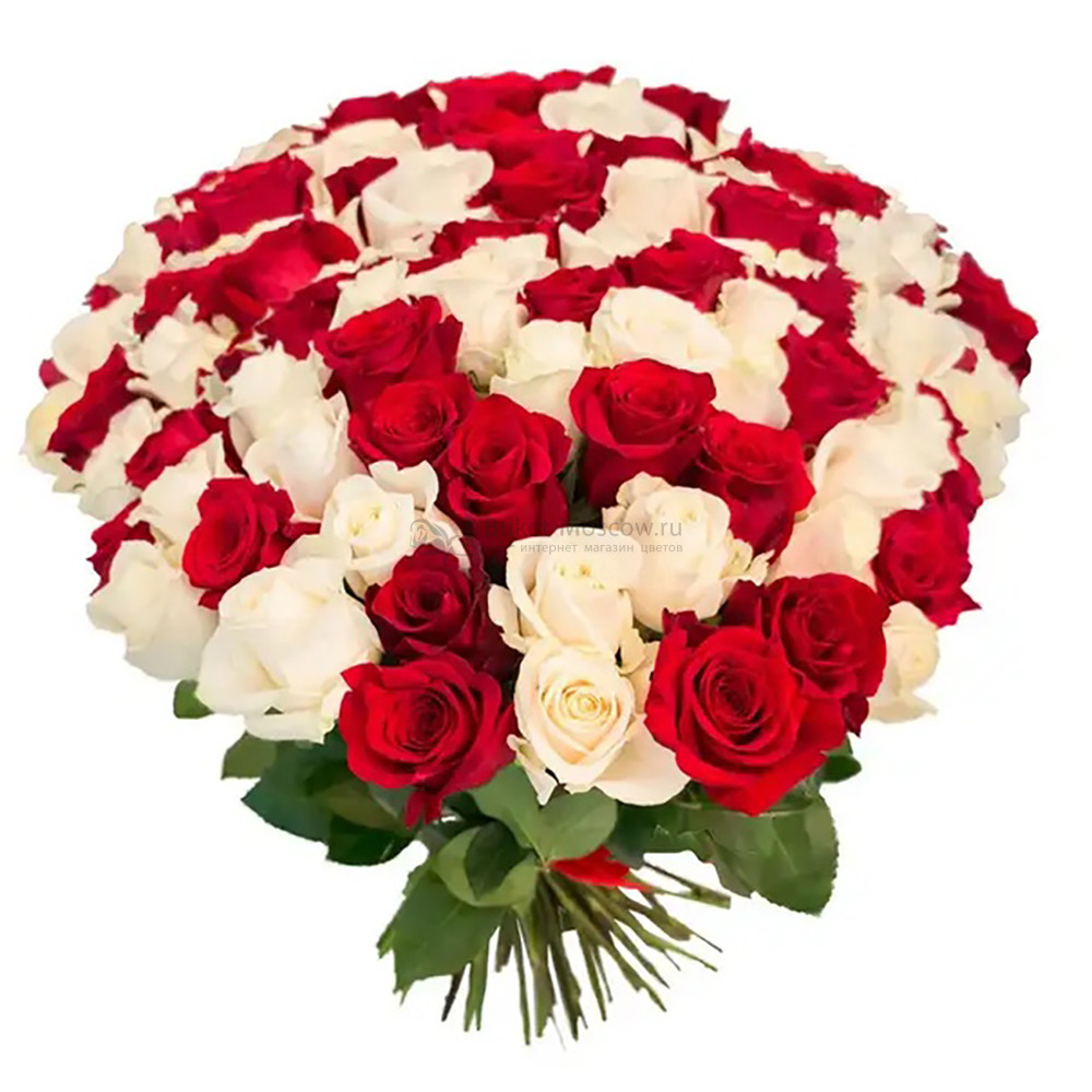 Изображение - Букет из 101 Красной и Белой розы 40 см - купить в Москве