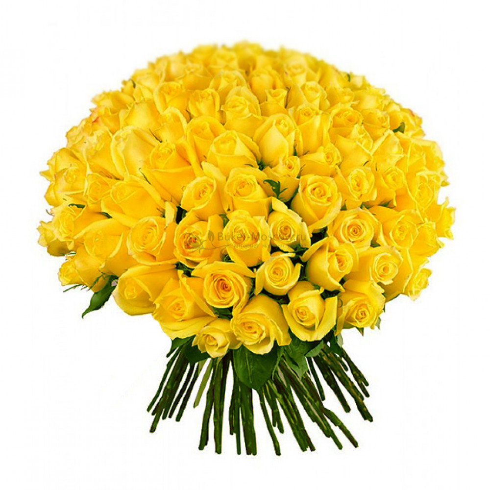 Изображение - Букет из 101 желтой розы 60 см - купить в Москве