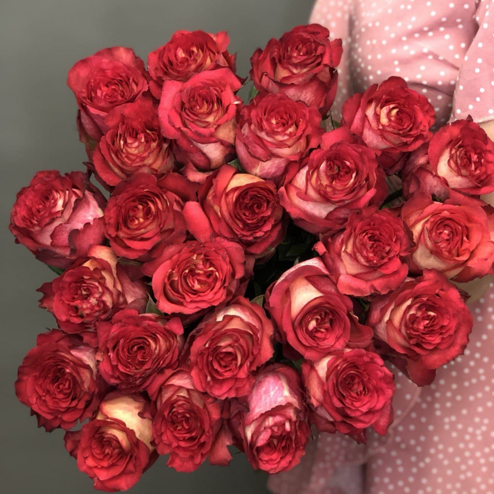 Изображение - Букет из 25 красных роз Эквадор 80см - купить в Москве
