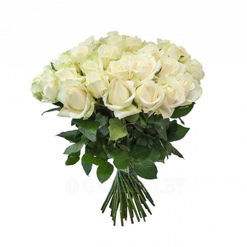 Изображение - Букет из 25 Белой розы 40 см - купить в Москве