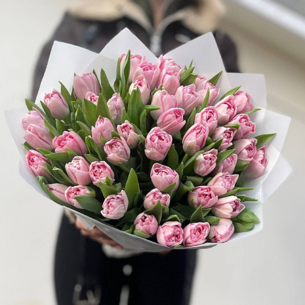 Изображение - Тюльпаны пионовидные розовые 51шт - купить в Москве