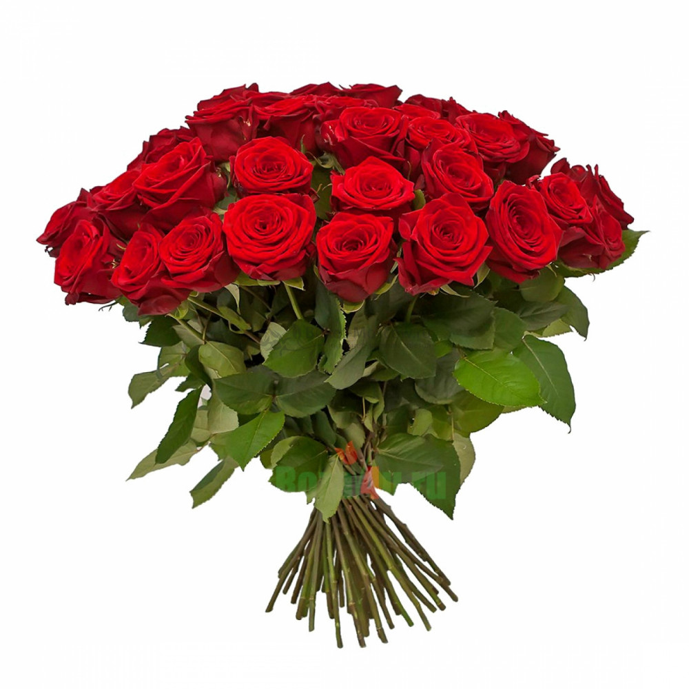 Изображение - Букет из 51 красной розы 60 см - купить в Москве