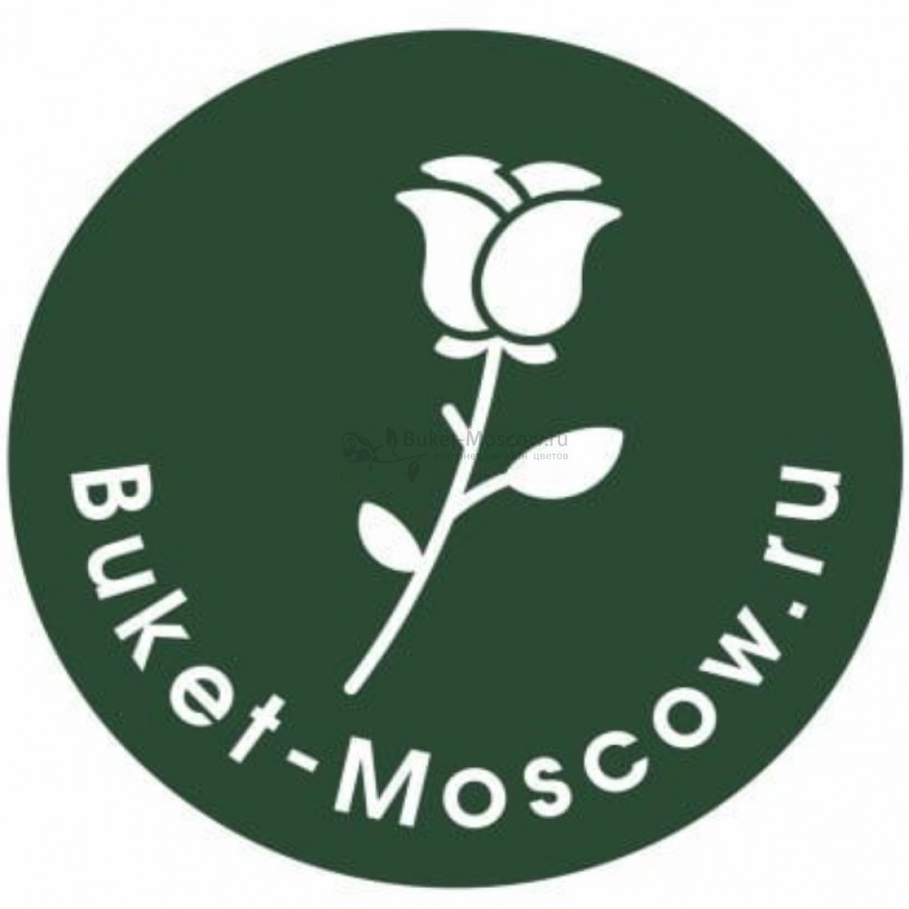 Изображение - Букет Розовых Роз 60 см - купить в Москве