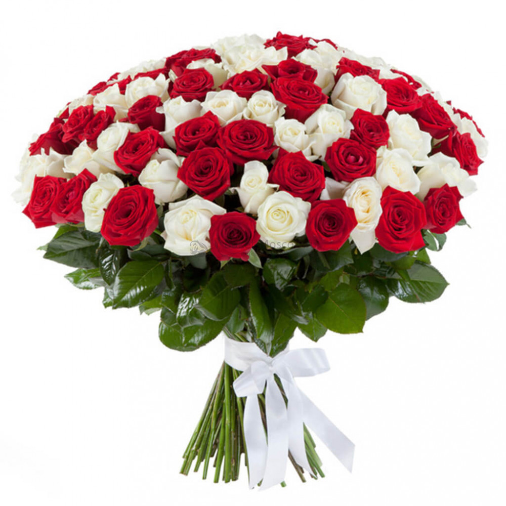Изображение - Букет из 101 красной и белой розы 60 см - купить в Москве