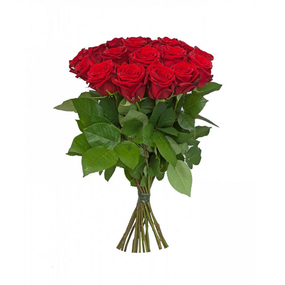 Изображение - 15 роз (любой цвет) - купить в Москве