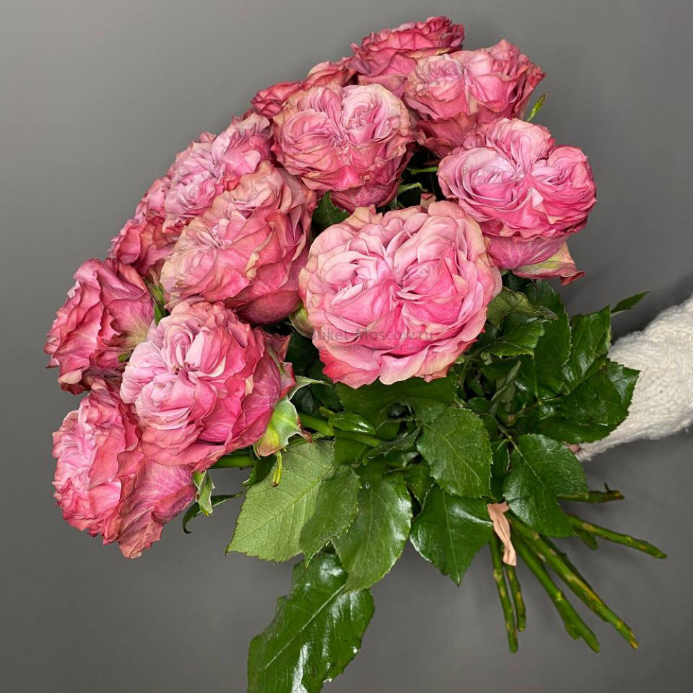 Изображение - Пионовидная роза премиум - купить в Москве