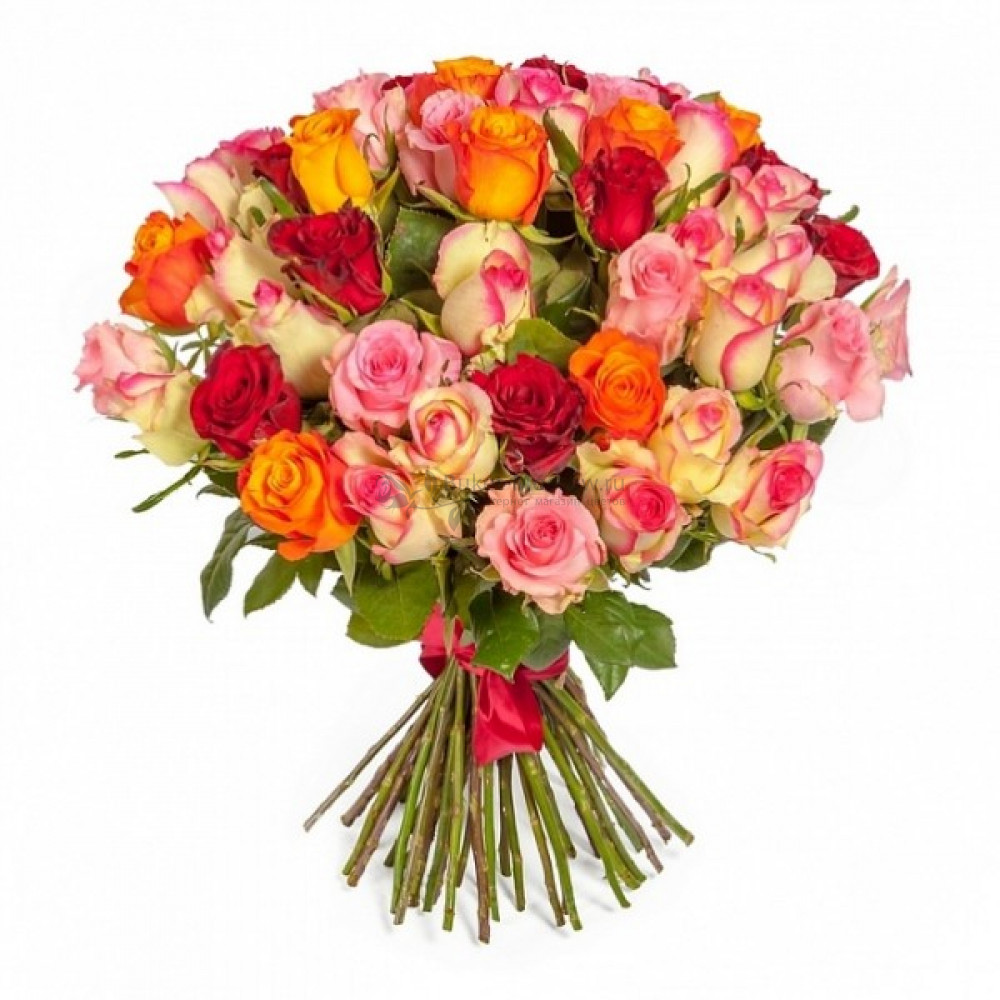 Изображение - 25 роз (любой цвет) - купить в Москве