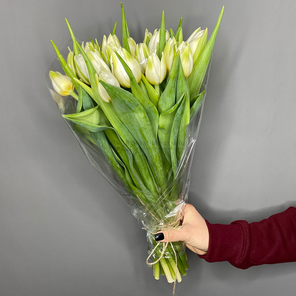 Изображение - Белые тюльпаны - купить в Москве