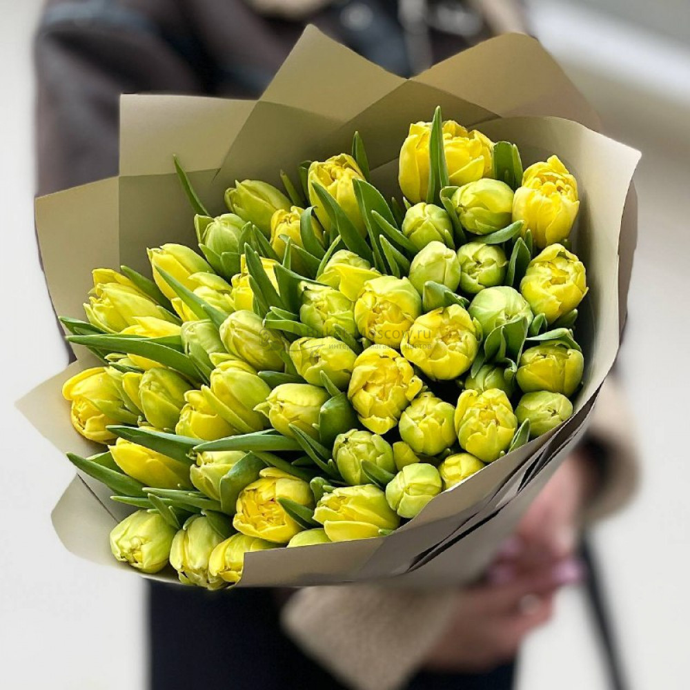 Изображение - Тюльпаны пионовидные желтые - купить в Москве