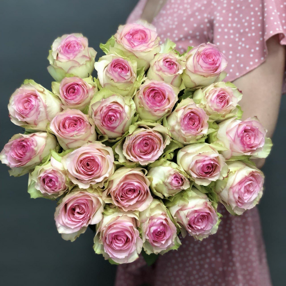 Изображение - Букет из 25 роз Эквадор 80см - купить в Москве