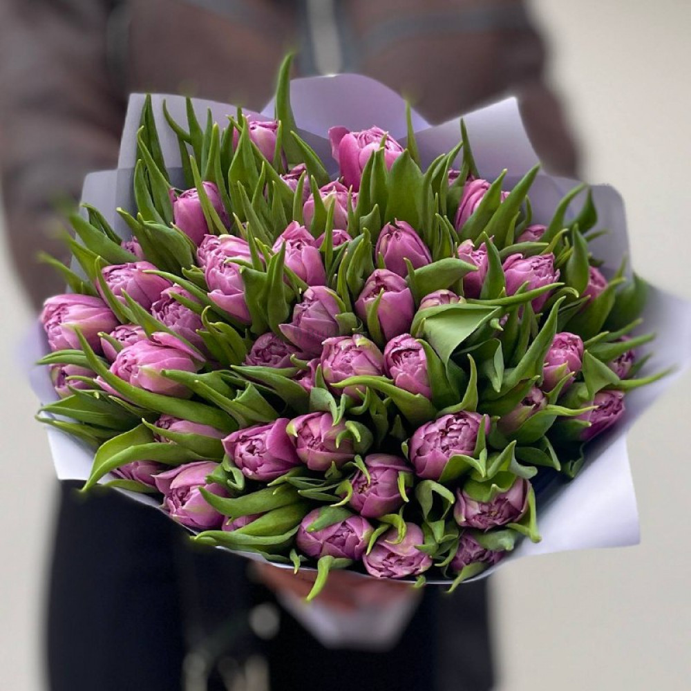 Изображение - Тюльпаны пионовидные сиреневые 51шт - купить в Москве